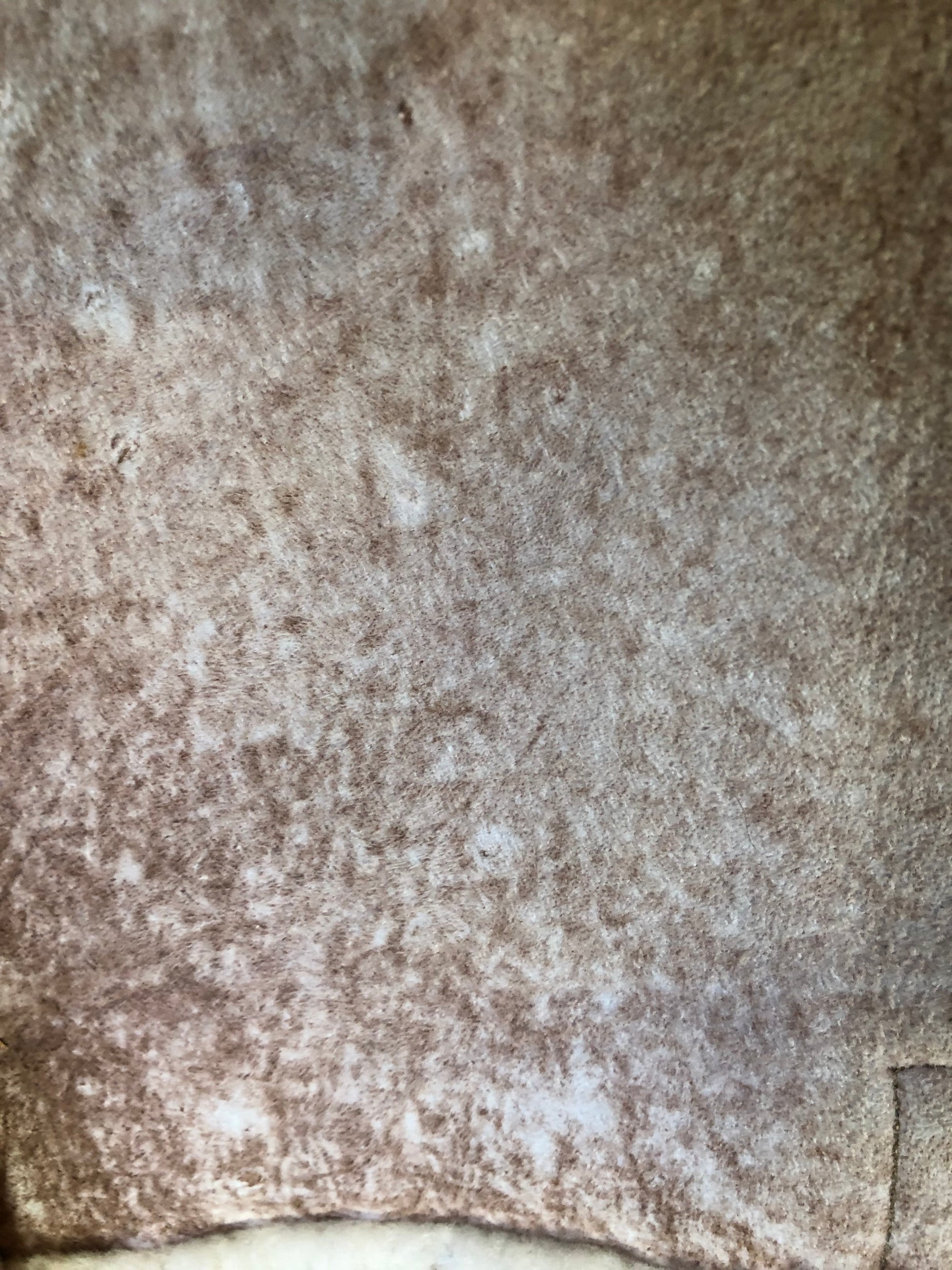 Kingspier Vintage - Dave Epstein “Rice Sportswear” beige suede coat with shearling trim and lining, button closures and patch pockets. Made in Canada.